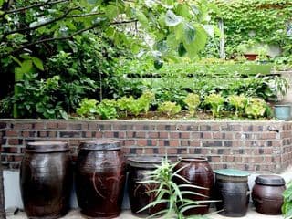 Photo Park Guesthouse photo 3