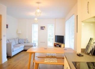 1 Bedroom Apartment in Mile End photo 4