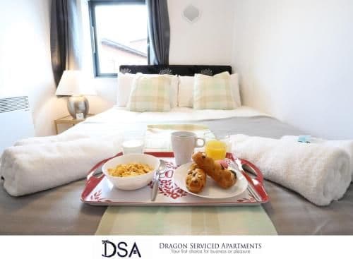 Birmingham City Centre Premier Apartment