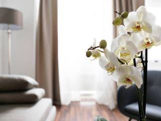 Apartment DROYSEN Kurfürstendamm - Cozy Family & Business Flair welcomes you - Rockchair Apartments photo 4