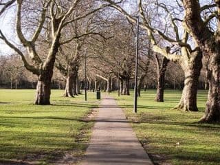 Absolute Clapham photo 2