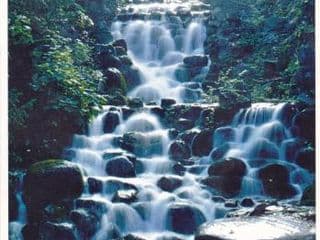 Mehringdamm photo 4