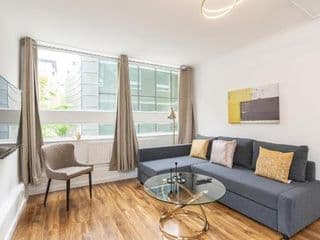Lovely apartment near Hyde Park & Oxford St photo 4