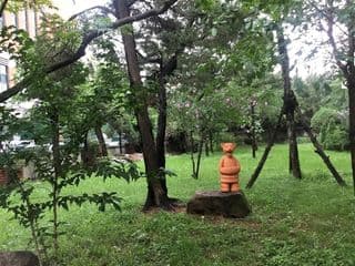 Cup of coffee looking at Saetgang ecological park photo 2