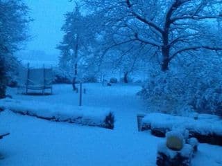 Pleasance Farm B&B photo 2