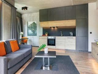 Downtown Apartments photo 2