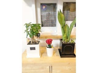 Seoul Sarang Guest House photo 3