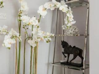 The Chelsea Cottage by House of Kip photo 2