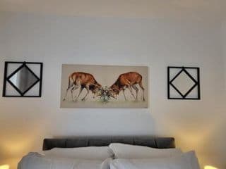 Emerald House photo 1