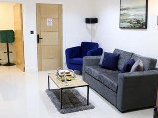 Deluxe and Modern Studio Apartment in Sydenham photo 3