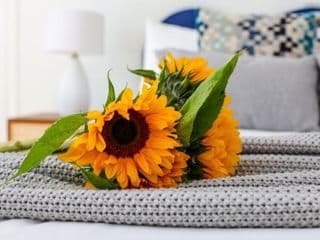 Stylish one bedroom apartment in Greater London photo 4