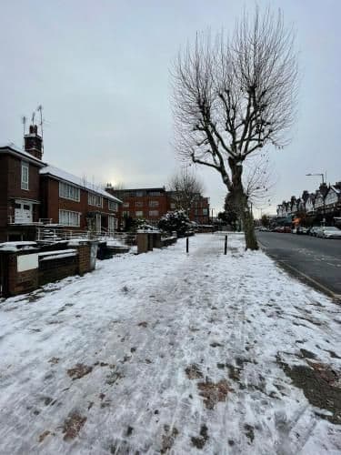 Willesden Green ROOMS