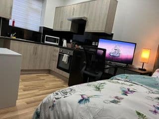 Entire Private Studio Apartment - Opposite Tube Station - Near Central London & Wembley photo 3