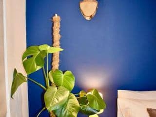 Stylish centrally-located studio with parking photo 4