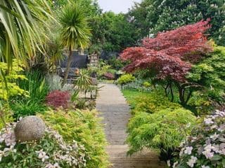 Tropical Garden Oasis Rooms photo 1