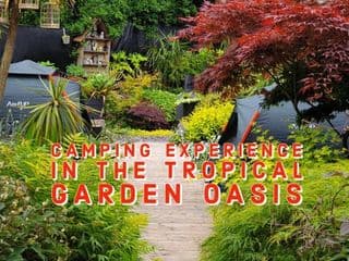 Tropical Garden Oasis Rooms photo 3