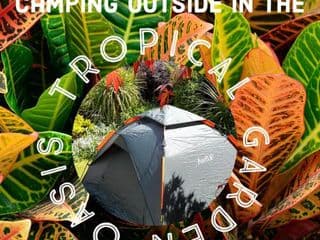 Tropical Garden Oasis Rooms photo 4