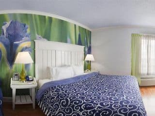 Hotel Indigo Atlanta Midtown, an IHG Hotel photo 1