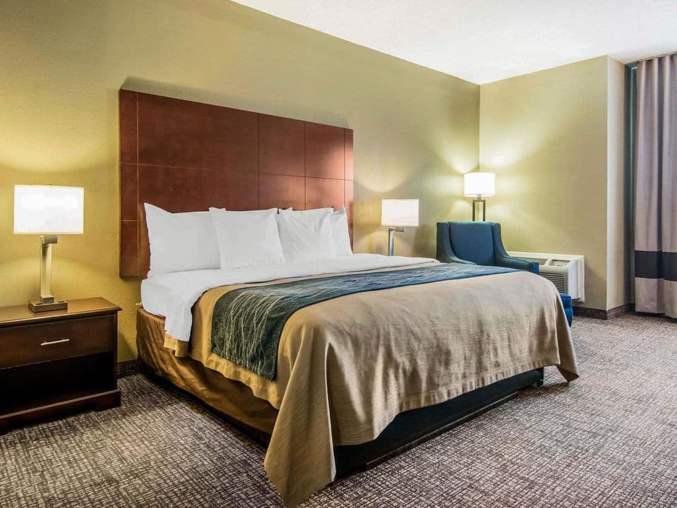 Comfort Inn Downtown Atlanta