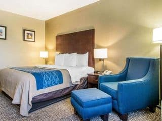 Comfort Inn Downtown Atlanta photo 3