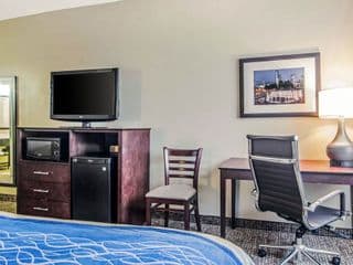 Comfort Inn Downtown Atlanta photo 4