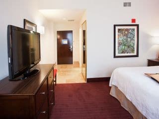 Hampton Inn & Suites Atlanta-Downtown photo 3