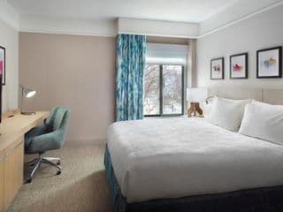 Hilton Garden Inn Atlanta-Buckhead photo 3