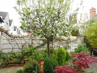 Compton Guest House photo 2