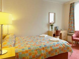 OYO New Dome Hotel photo 2
