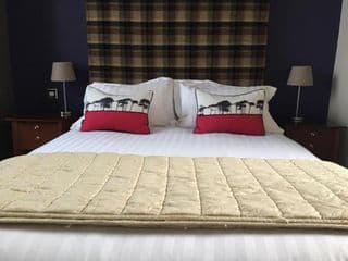 Forest Hotel photo 3